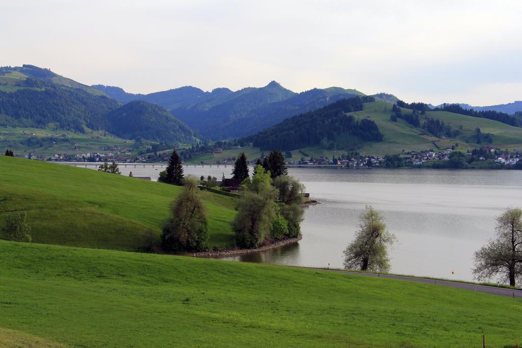 B&B Ferienhof Am See Willerzell Buitenkant foto
