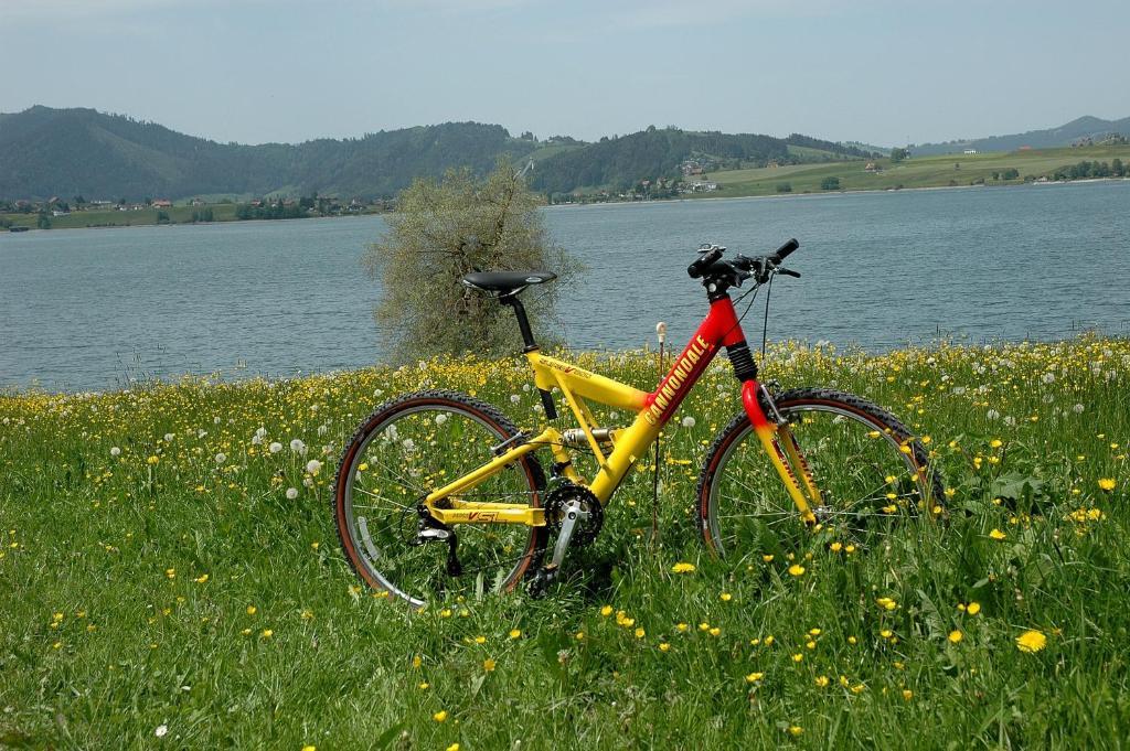 B&B Ferienhof Am See Willerzell Buitenkant foto
