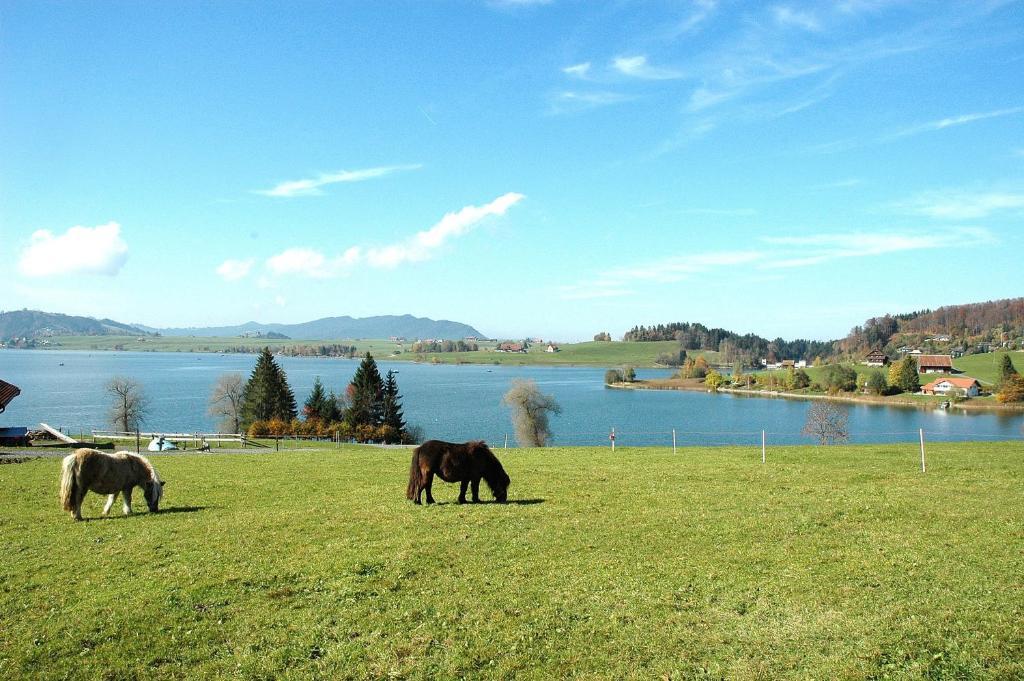 B&B Ferienhof Am See Willerzell Buitenkant foto
