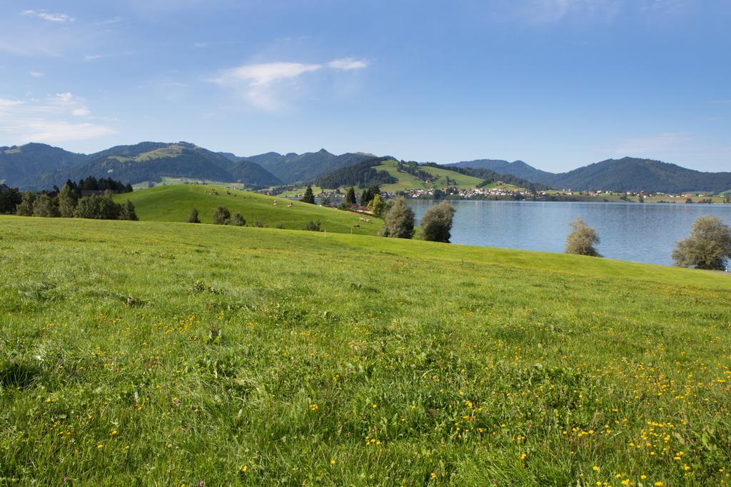 B&B Ferienhof Am See Willerzell Buitenkant foto
